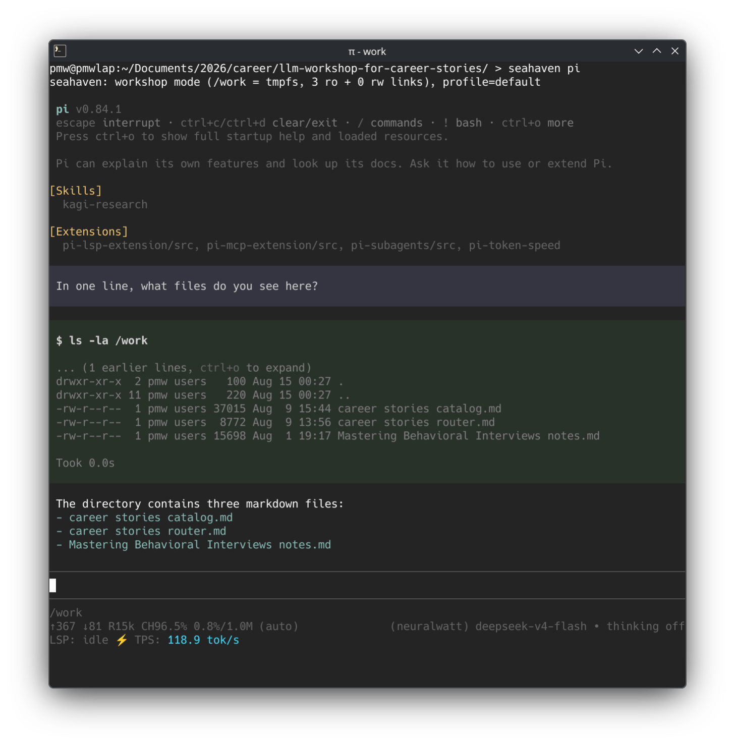 screenshot of workshop mode